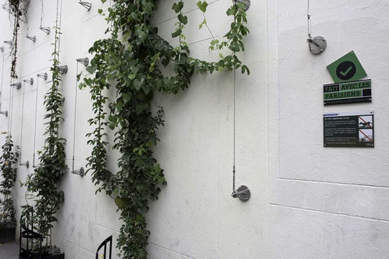 mur moussy.jpg
